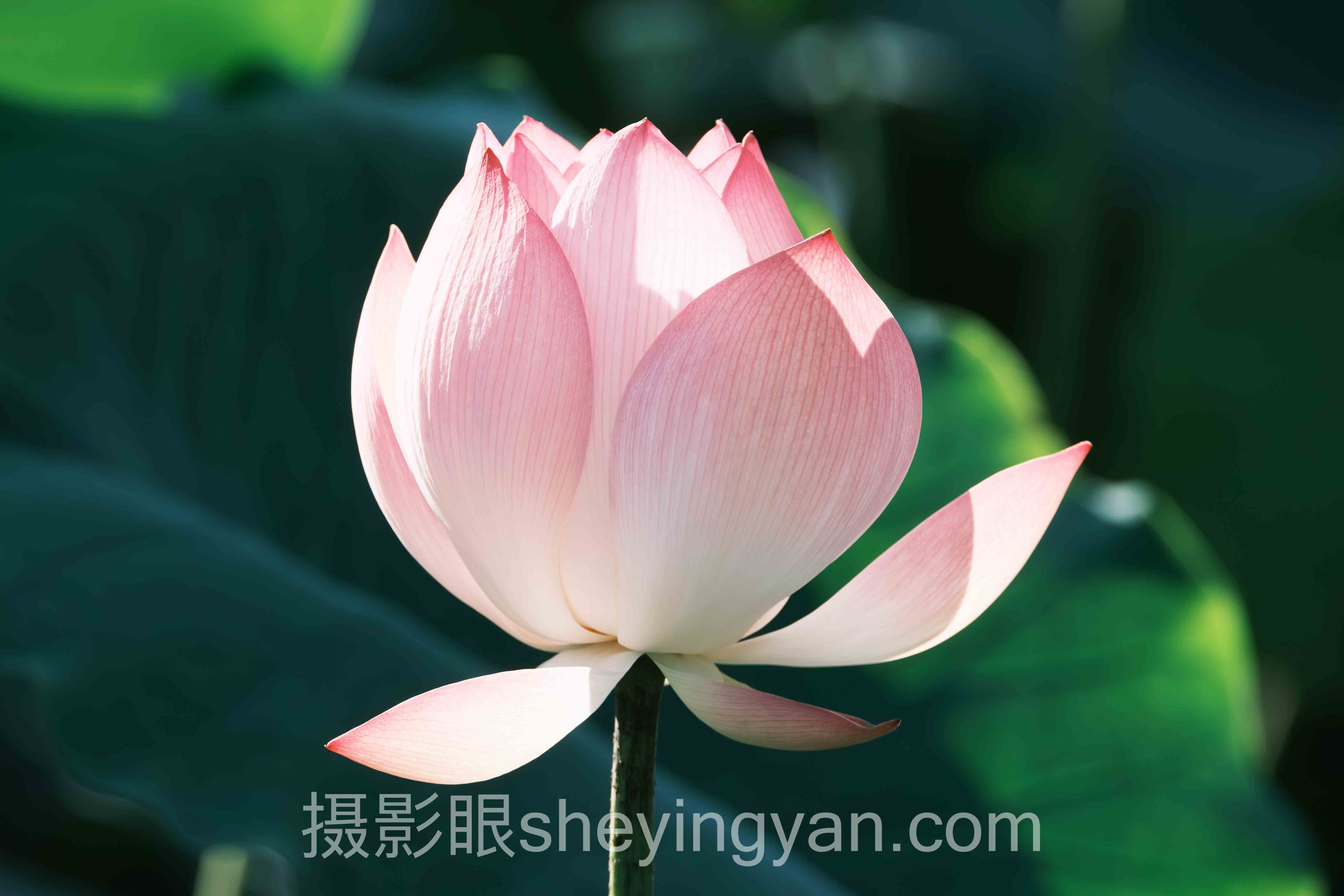 摄影审美ins博主推荐深度评测:5类选择全面解析