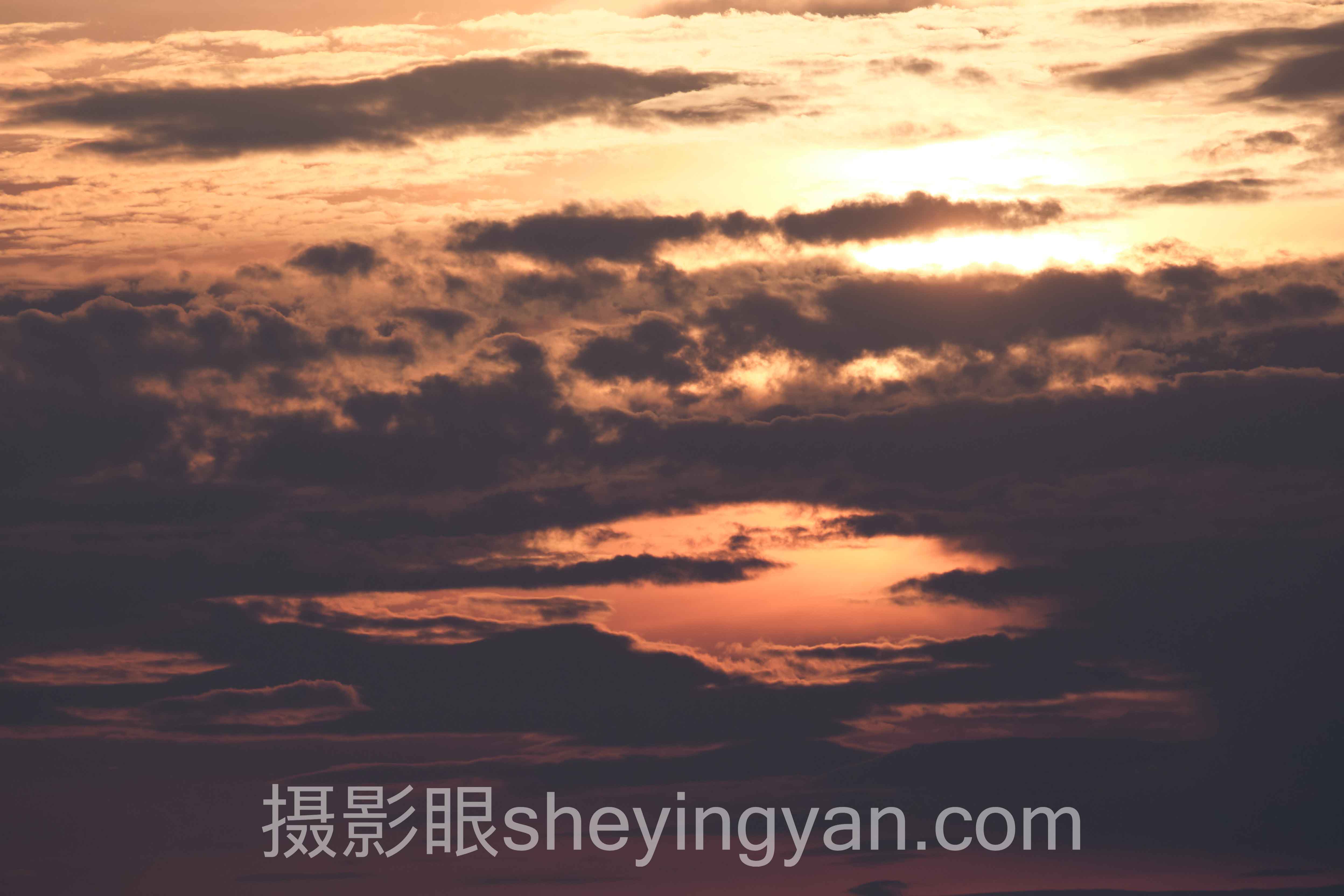 专家深度解读：摄影点评驱动的认知升级机遇与挑战