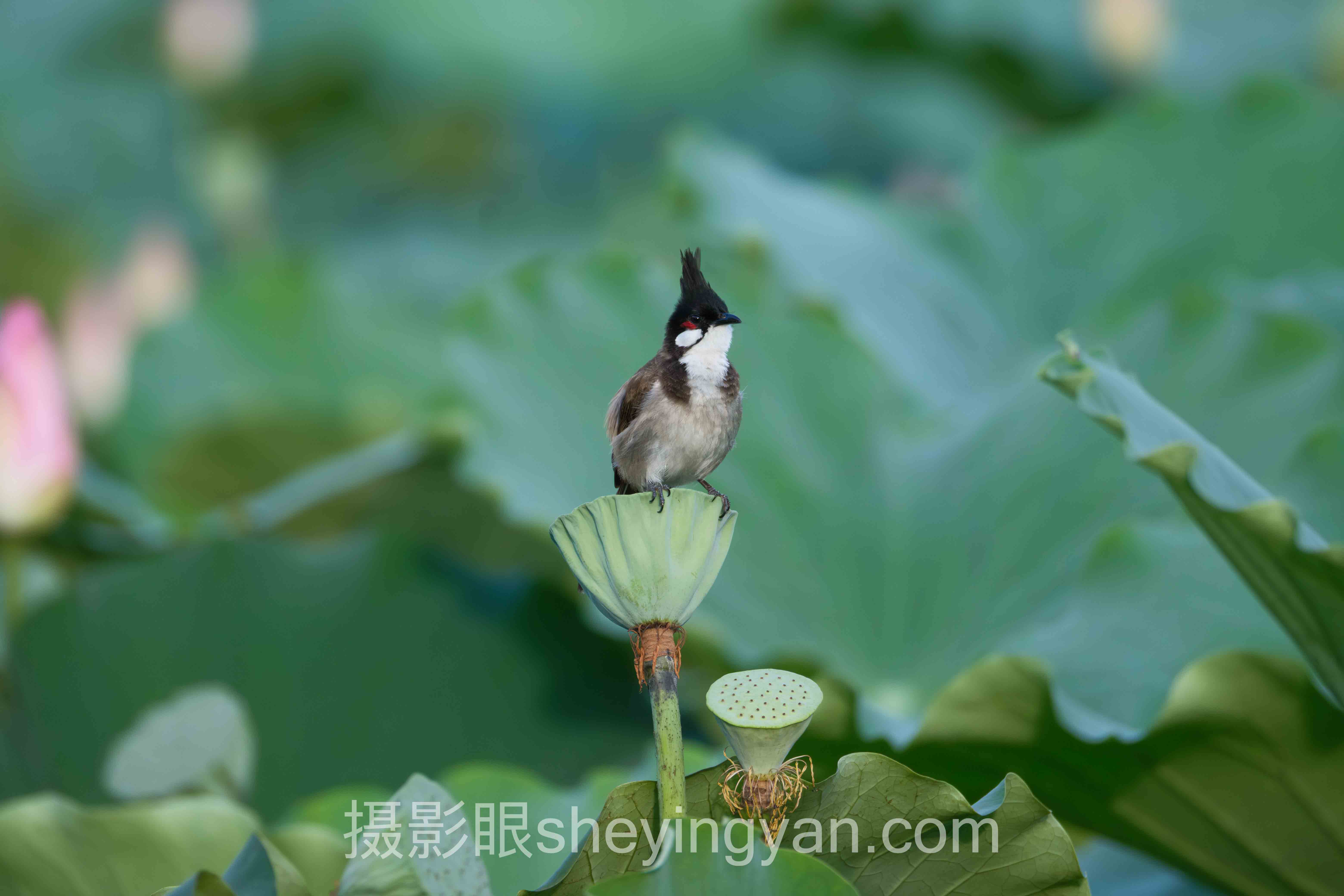 风光摄影避坑指南：7个关键要点全梳理