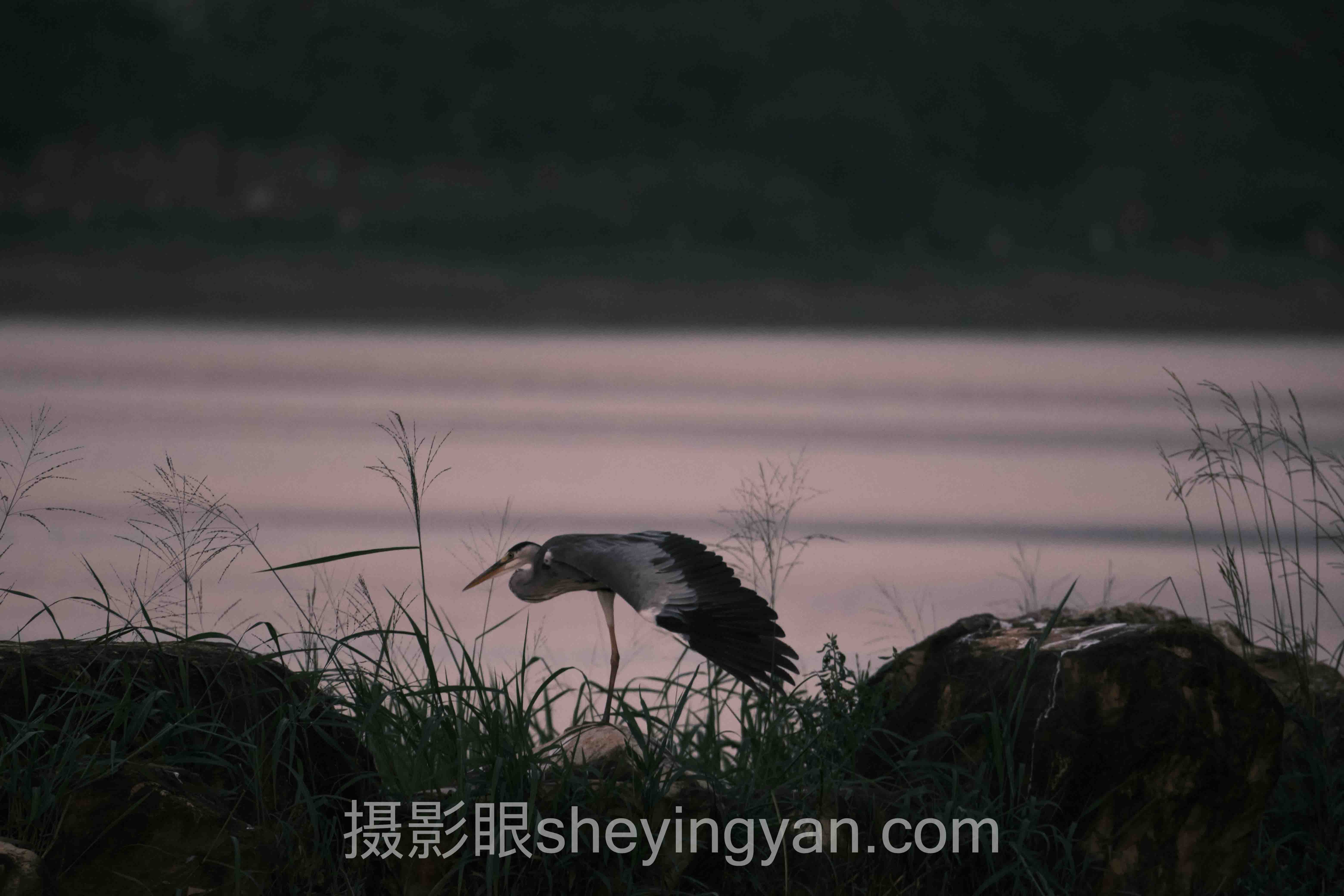 对话行业专家：摄影眼年卡会员多少钱的关键洞察与前瞻