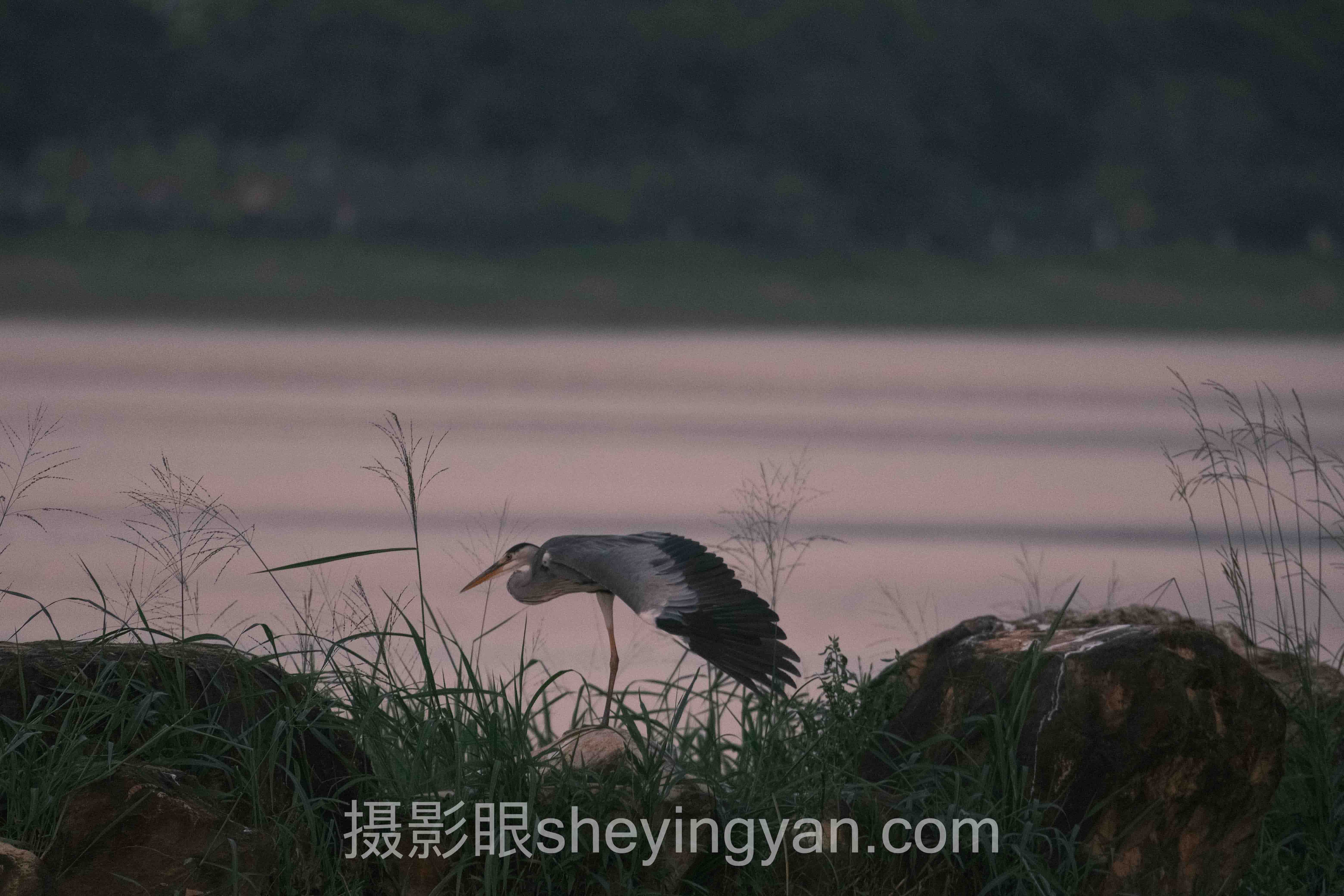 风光构图进阶案例