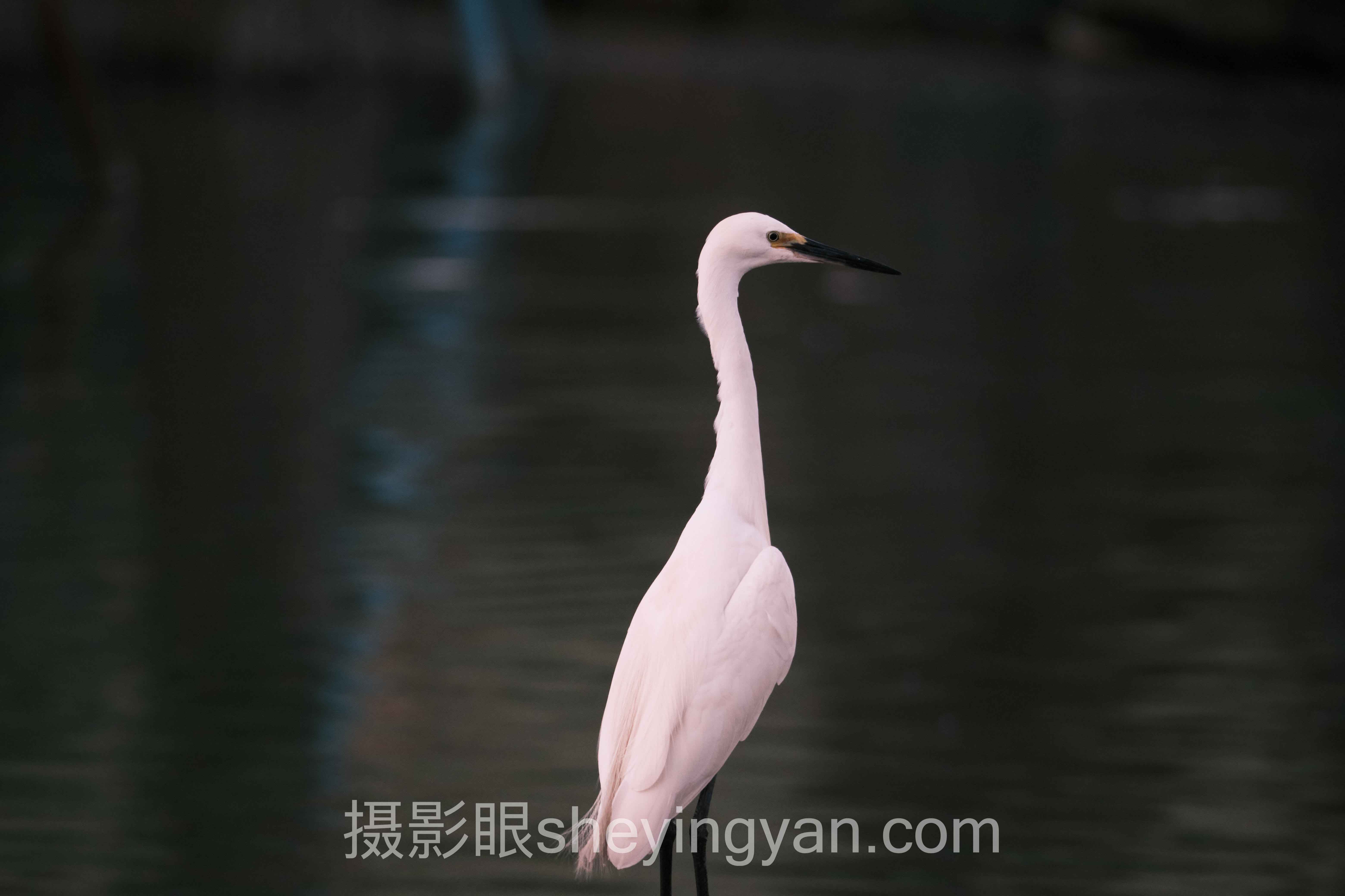 光影敏感度训练