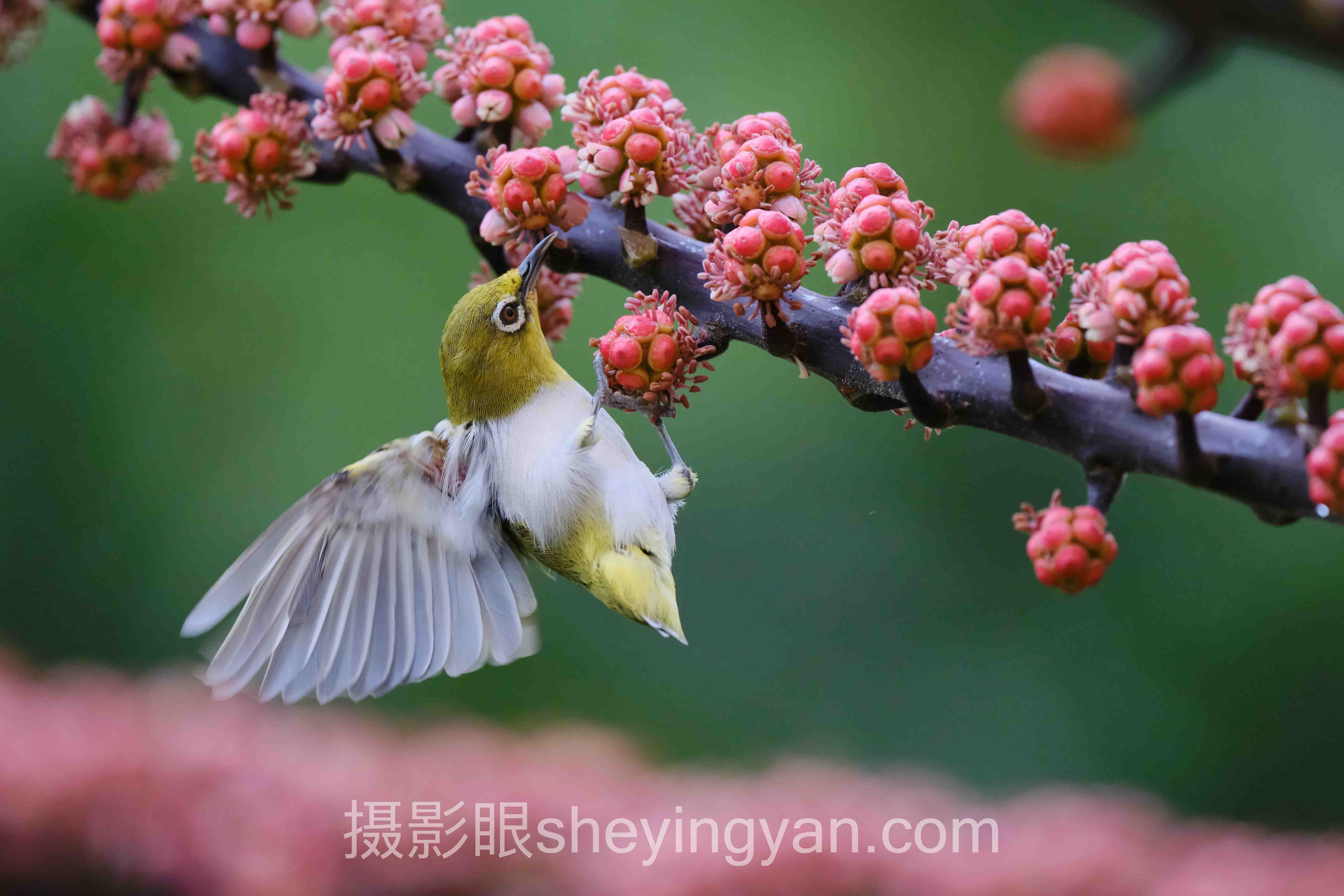 上午光线怎么样十人谈:多位专家的核心观点汇总
