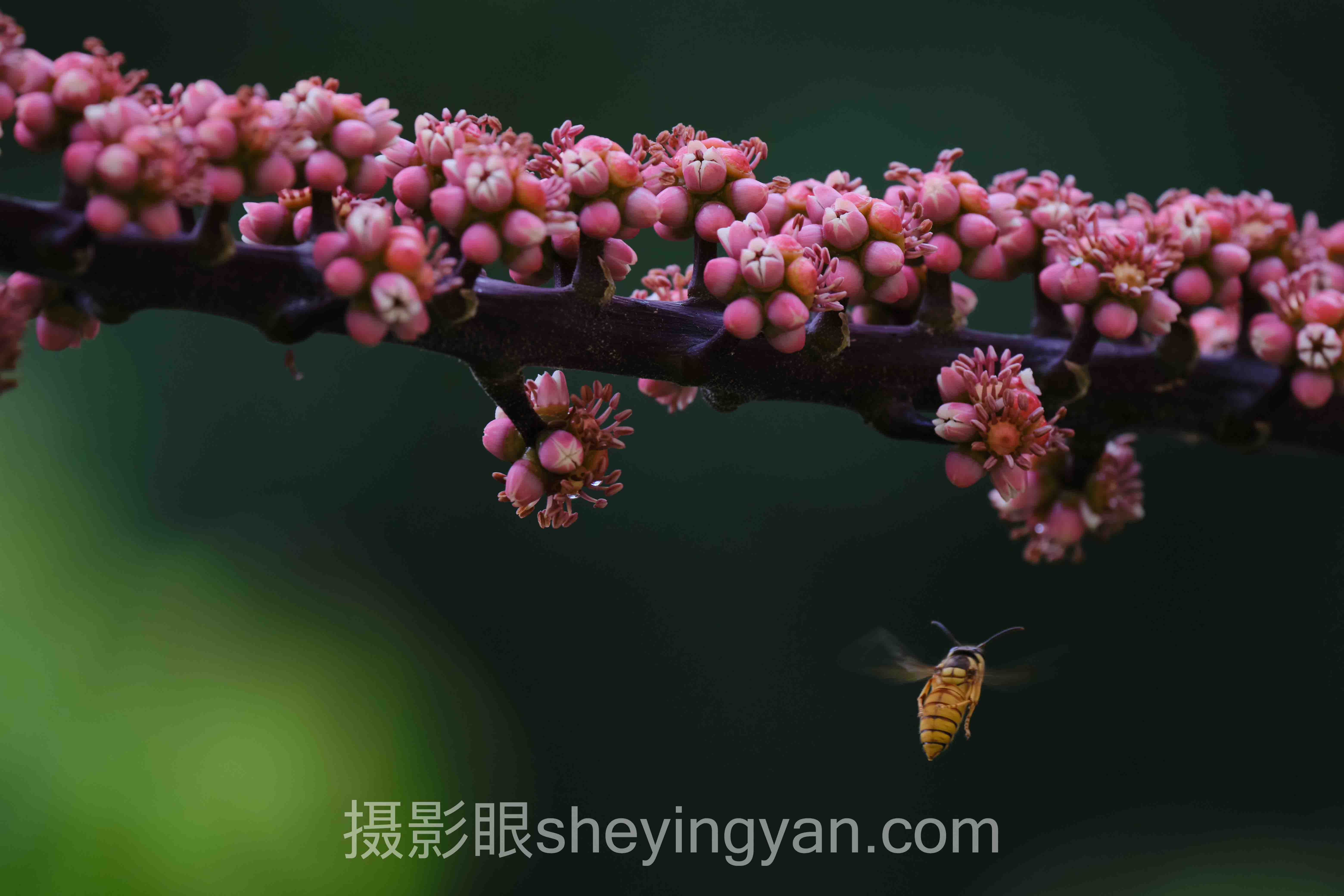 对话行业专家:摄影审美风格分类的关键洞察与前瞻