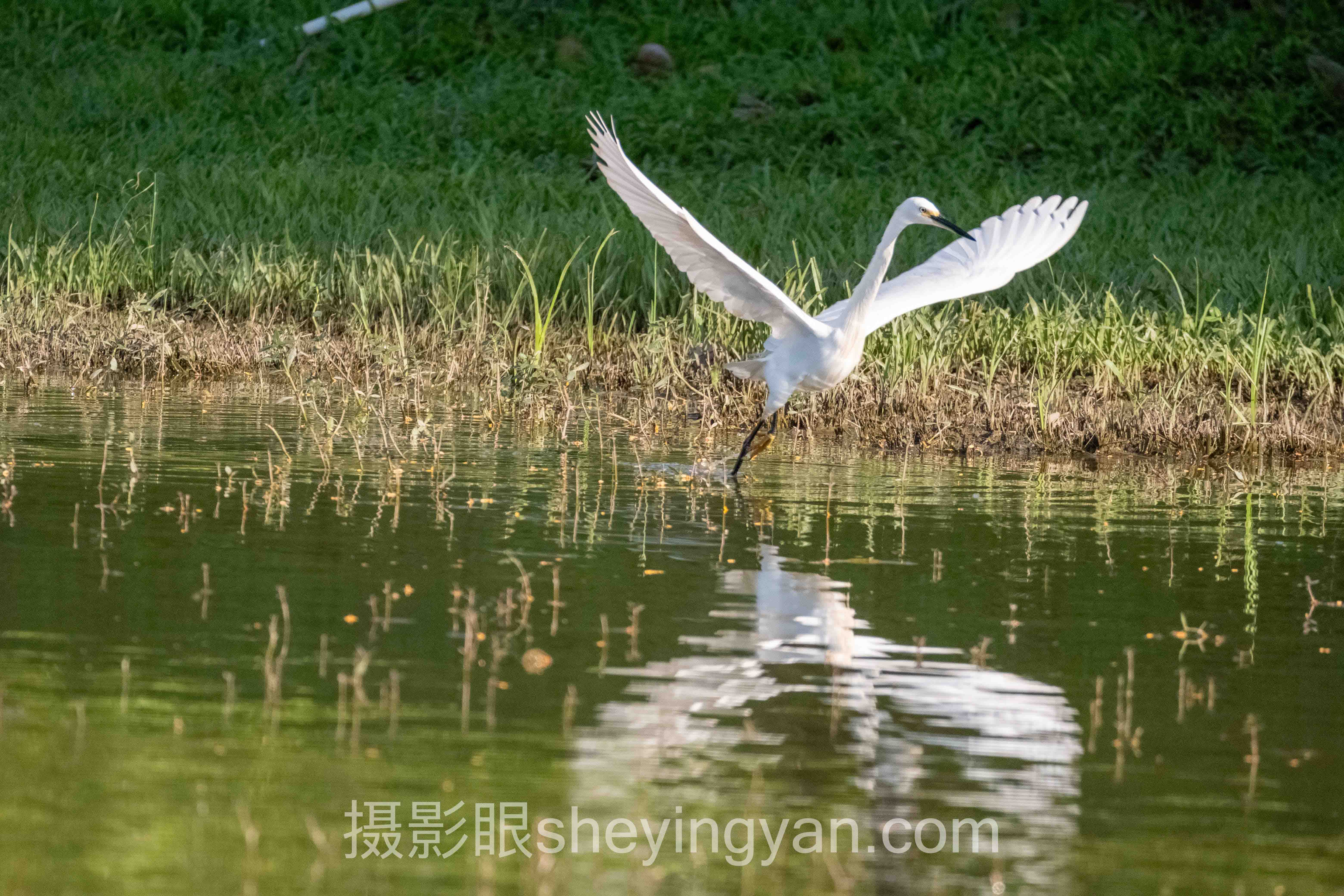 拍照技术突飞猛进深度评测：5种提升路径全面解析